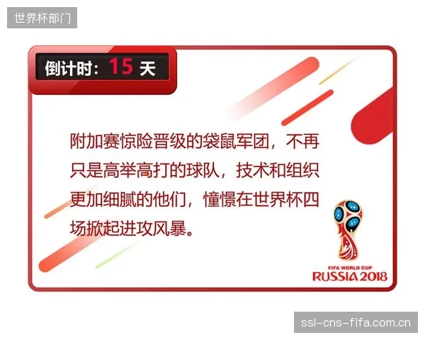 哈里·苏塔成后防核心，其高空球控制能力是澳大利亚队应对高举高打战术的关键棋子。